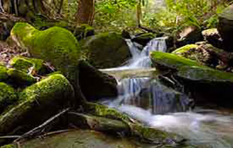 acqua-in-movimento-seta